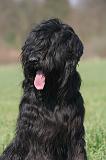 BRIARD 252